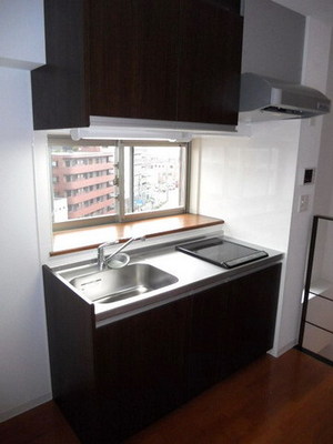 Kitchen. Two-burner IH stove with system Kitchen