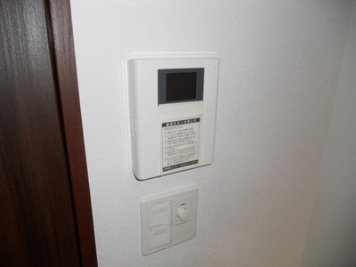 Security. Monitor with intercom