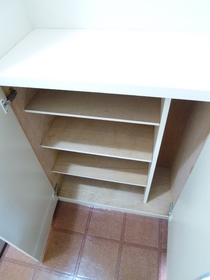 Entrance. It is the front door storage