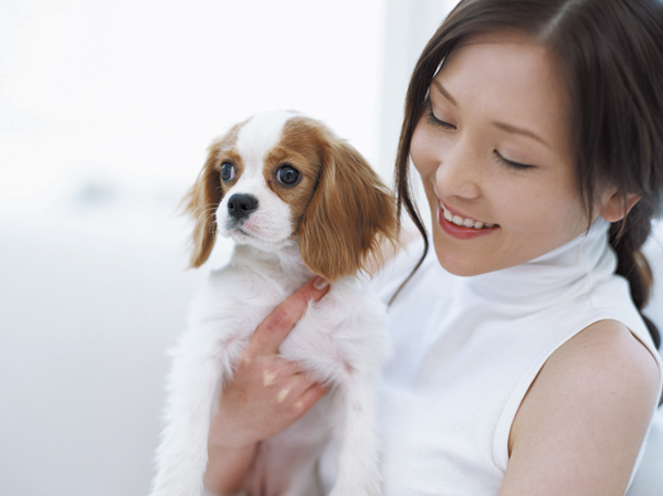 Common utility.  [Apartment to be able to live with pets] I could live with a member of the important family pet.  ※ Pet of the type that frog in the apartment ・ There is a limit to the size, etc.. For more information, please contact the person in charge.  ※ The photograph is an example of a pet frog.