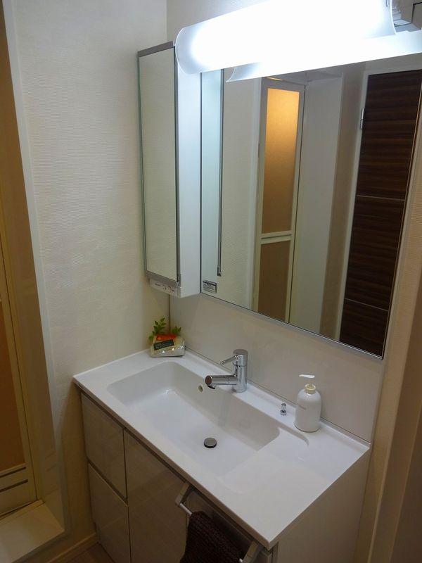 Wash basin, toilet. Bathroom vanity