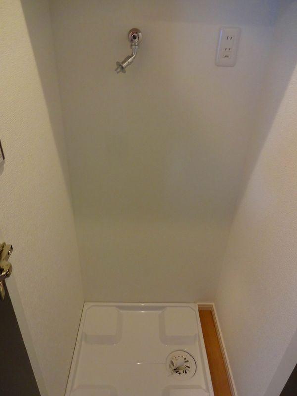 Other introspection. Washing machine Storage