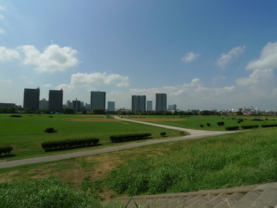 Other. Tama River 100m to green space (Other)