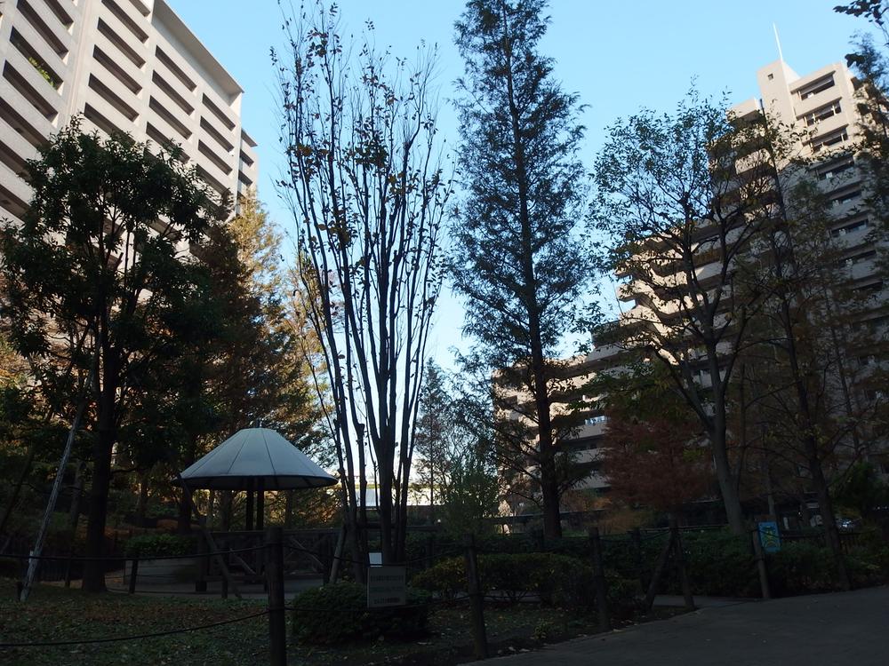 Other local. courtyard