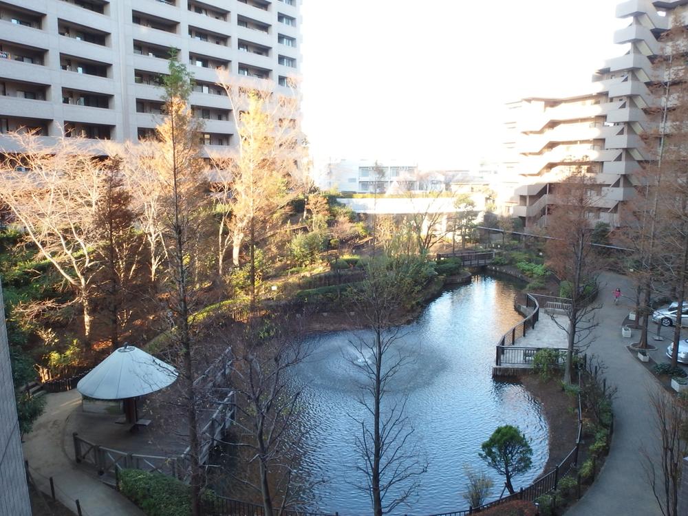 Other local. courtyard