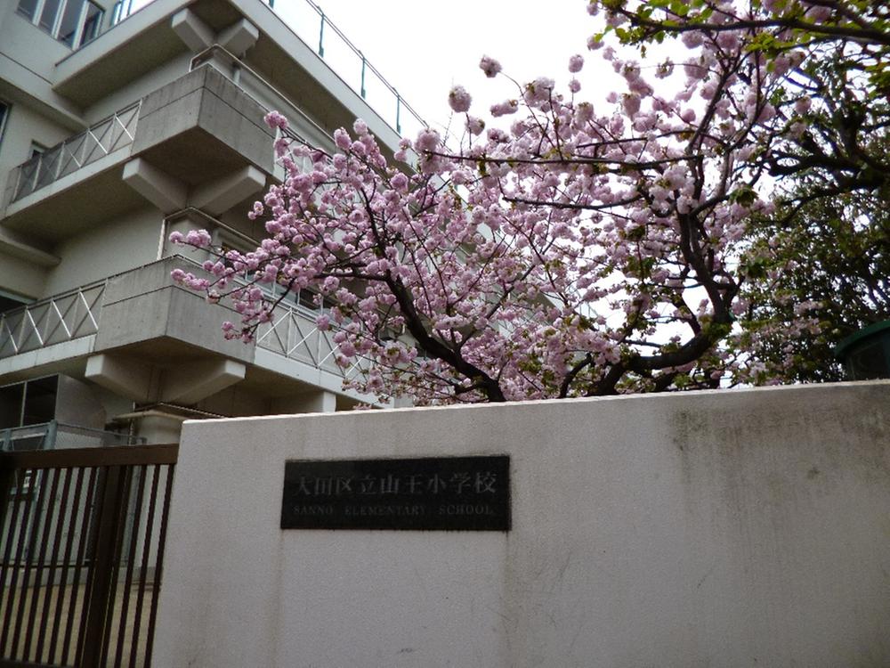 Other. Ward Sanno elementary school (about than local 720m)