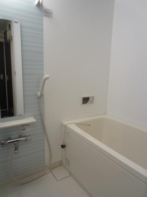Bathroom. Add-fired function with bus