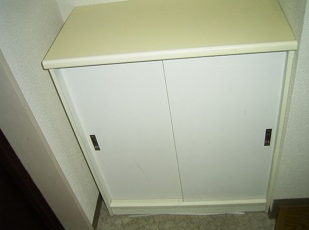 Entrance. It is the front door with a shoe box.