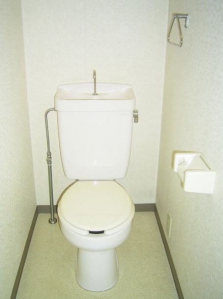 Toilet. Toilet
