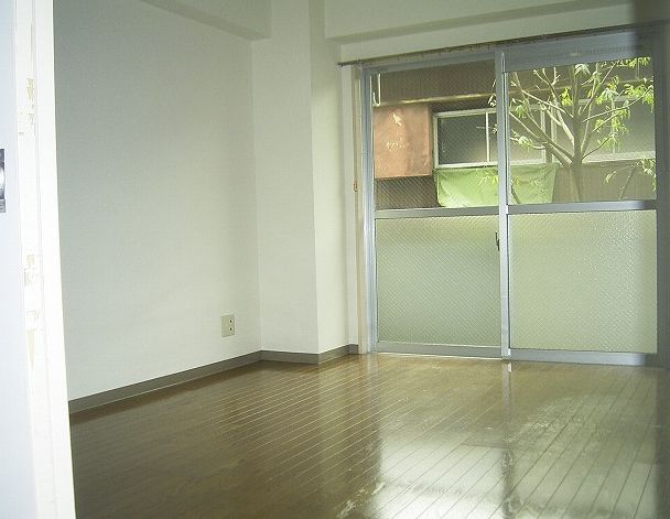 Living and room. Flooring clad Western-style
