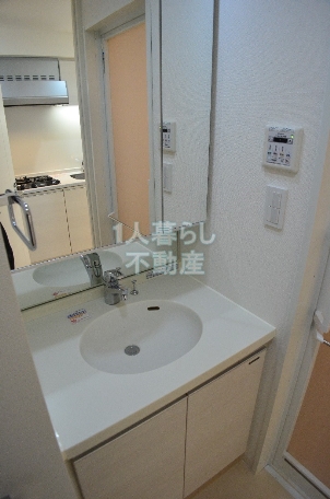 Other. With separate wash basin! !