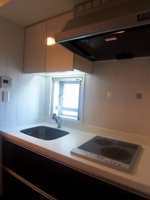 Kitchen. Window with system Kitchen