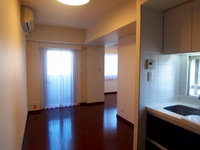 Living and room. Kitchen part