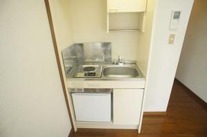 Kitchen. Stove 1-neck With mini fridge!