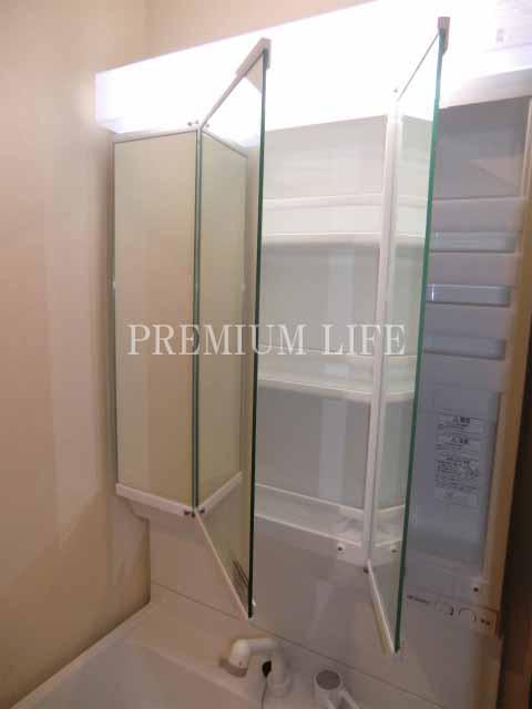 Wash basin, toilet. Bathroom vanity