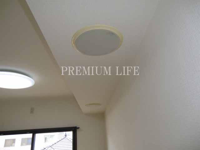 Other. Cable broadcasting