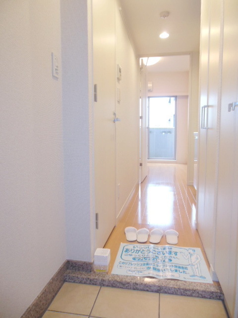 Entrance. Entrance space (Separate)