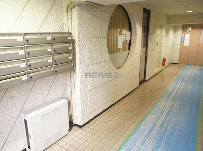 Entrance. Common areas