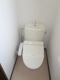 Toilet. Toilet