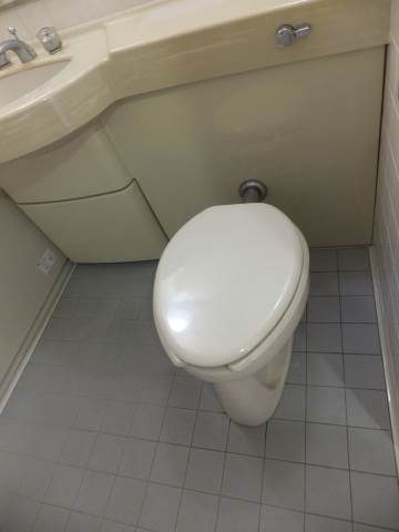 Toilet