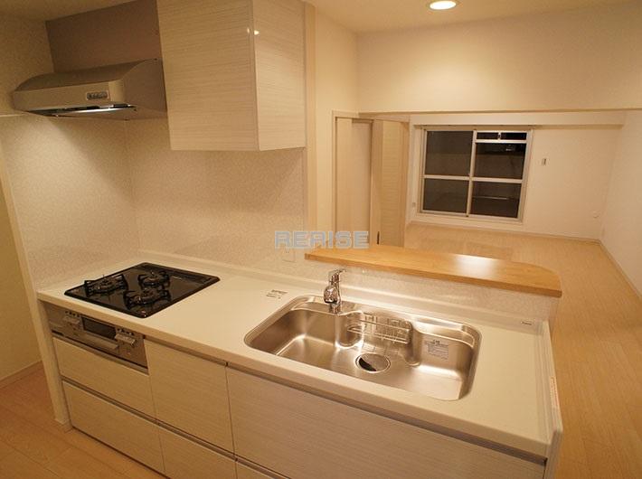 Kitchen. Popular counter kitchen