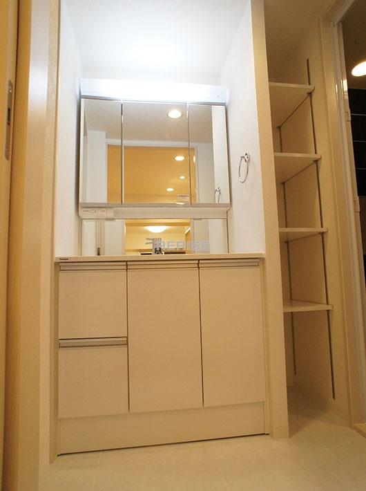 Wash basin, toilet. Bathroom vanity