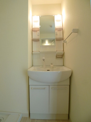 Washroom. Shampoo with Dresser