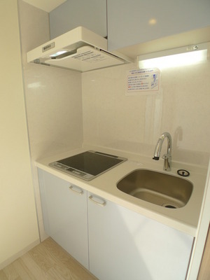 Kitchen. Two-burner stove IH