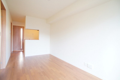 Living and room. There is also a counter kitchen!