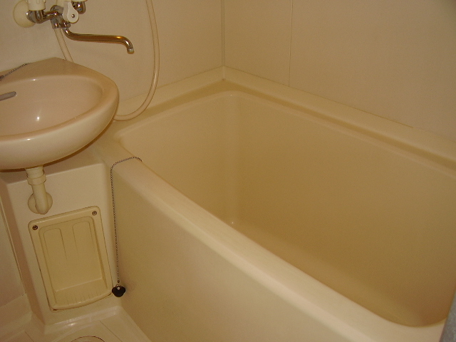 Bath. Reference photograph