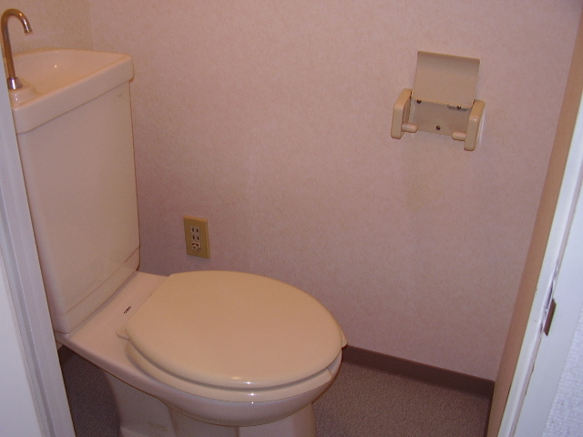 Toilet. Reference photograph