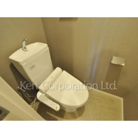 Toilet. Shoot the same type the seventh floor of the room. Specifications may be different.