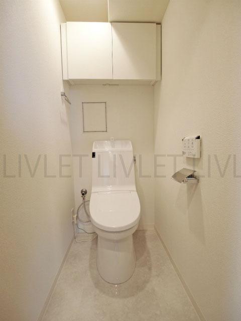 Toilet. Room (August 2013) Shooting