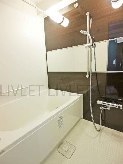 Bathroom. Room (August 2013) Shooting