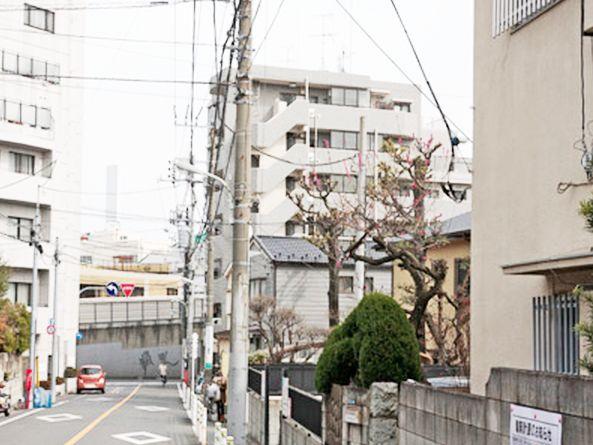 Local appearance photo. Good per sun