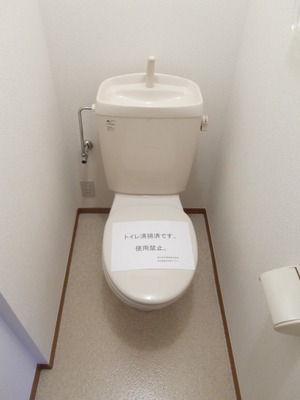 Toilet.  ※ Photos are separate in Room.