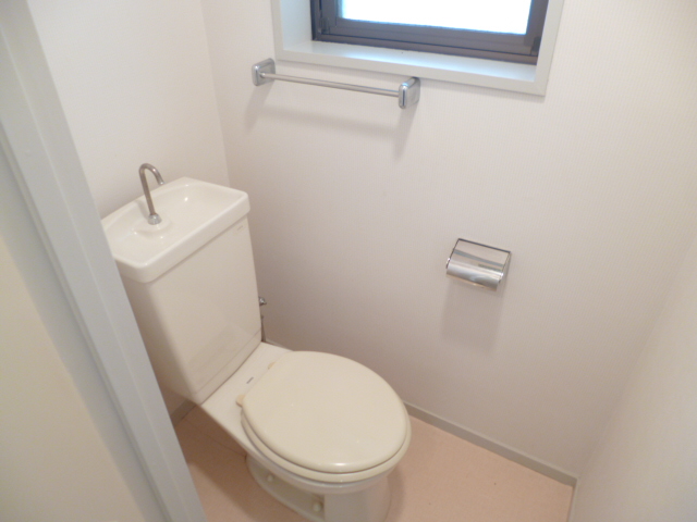 Toilet. Window there