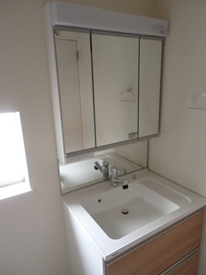 Washroom. Shampoo dresser