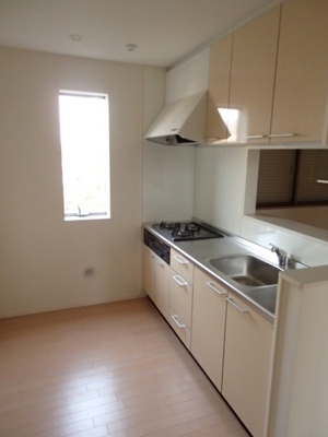 Kitchen. Counter Kitchen