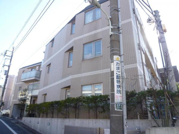 Local appearance photo