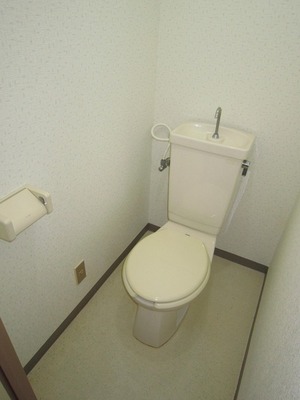 Toilet. Toilet