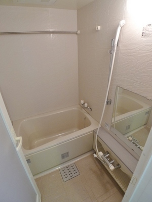 Bath. It comes with a bathroom dryer