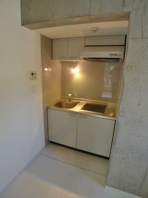 Kitchen. IH2 burner stove