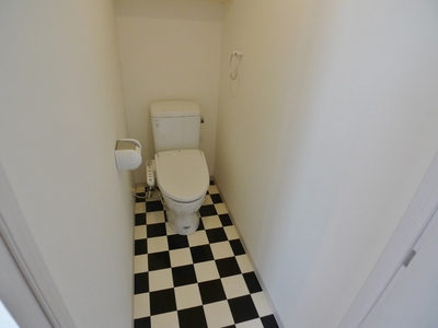 Toilet. Cleaning heating toilet seat