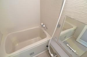 Bath. Bathroom dryer Yes