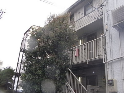 Building appearance. Appearance 2 ☆