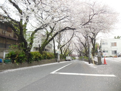 Other. 1400m to Sakurazaka (Other)