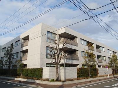 Local appearance photo. Local (April 2013) Shooting