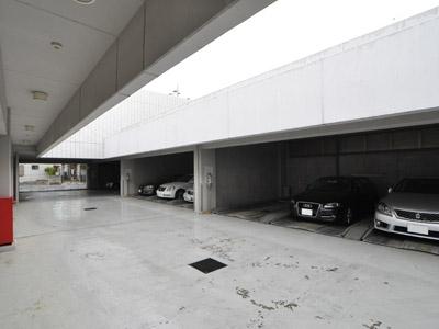 Parking lot. Common areas