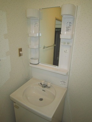 Washroom. Happy independence washbasin